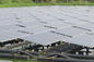 mono sistemas residenciais das energias solares da lagoa de peixes do painel 320W solar 3,2 milímetros de vidro moderado grosso